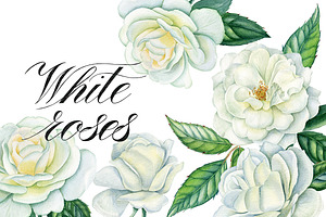 White roses
