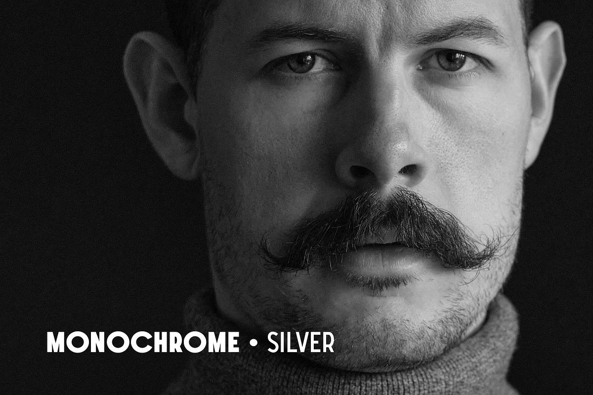 Monochrome Lightroom Presets, a Preset Add-On by Presetrain Co. (Photo 10 of 10)