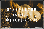 HALLOWEEN - FREAK SHOW, a Font by The Bird Life Design Co. (Thumbnail 3 of 4)