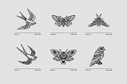 Vector Flash Sheet Vol 1., an Education Illustration by GRPXSTORE (Thumbnail 4 of 7)