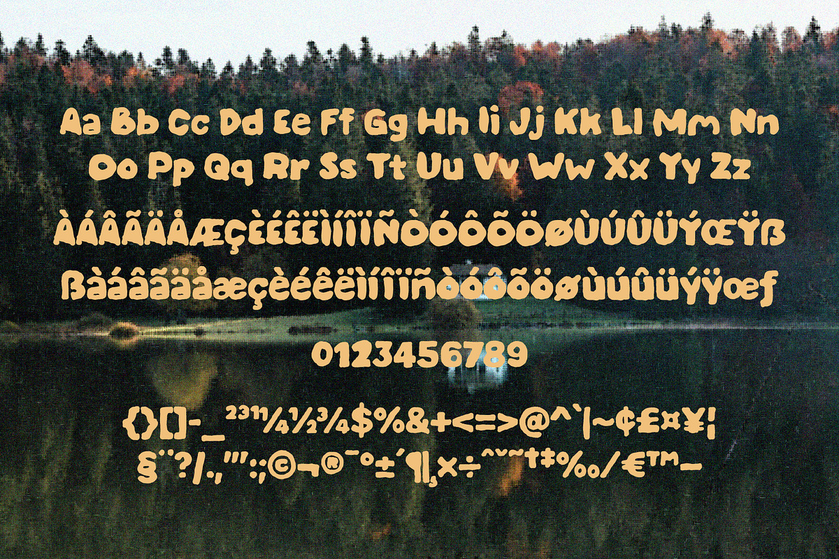 Bold Font Evalina, a Handwritten Font by AROKA (Photo 4 of 6)