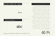 Multigenum - Serif font family, a Serif Font by Artistic & Unique (Thumbnail 7 of 15)