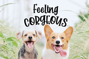 Corgi Puppy - Handwritten Font, a Font by Dm Studio (Thumbnail 3 of 6)