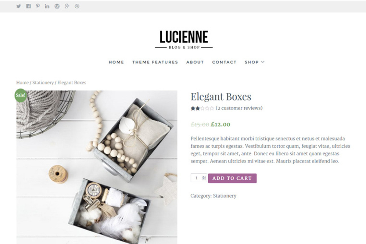 Lucienne / Blog & WooCommerce Theme, a WordPress Template by AlienWP (Photo 2 of 4)