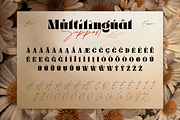 Bolmand Signature, a Serif Font by Burntilldead (Thumbnail 11 of 12)