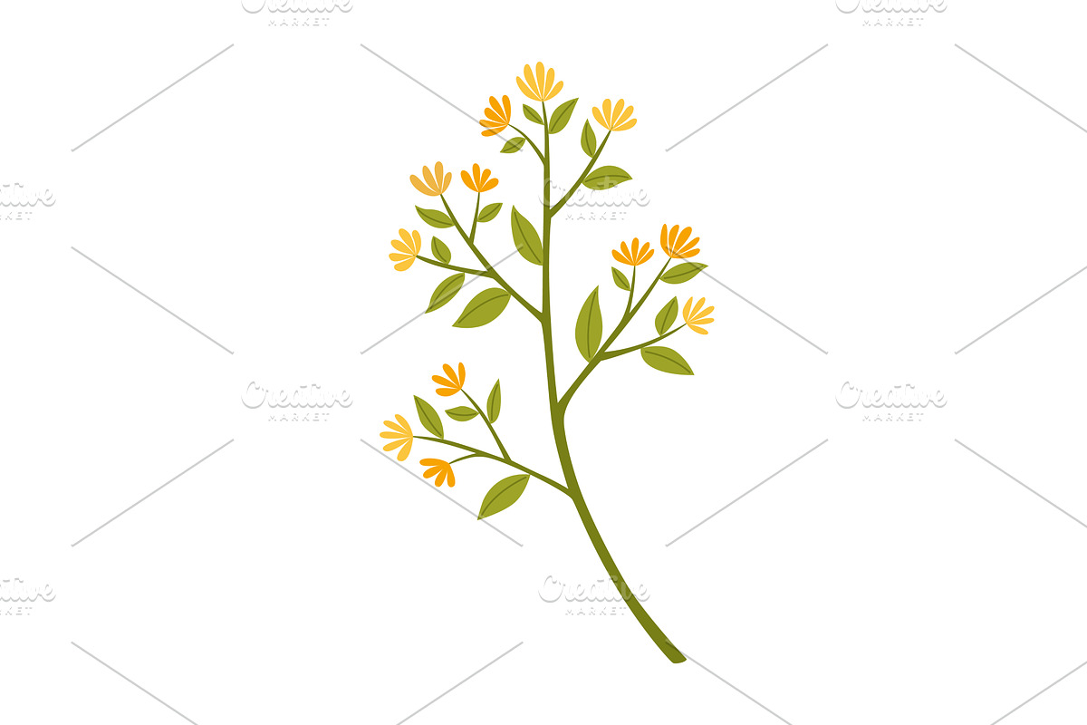 Aromatherapy natural, an Object Illustration by Things for designers