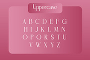 Deanley, a Serif Font by Rishsketch (Thumbnail 4 of 11)
