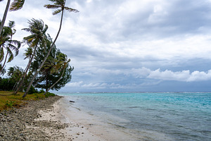 Coral garden beach with turquoise waters and palm trees on Huahi, a Nature Photo by GoodGoods