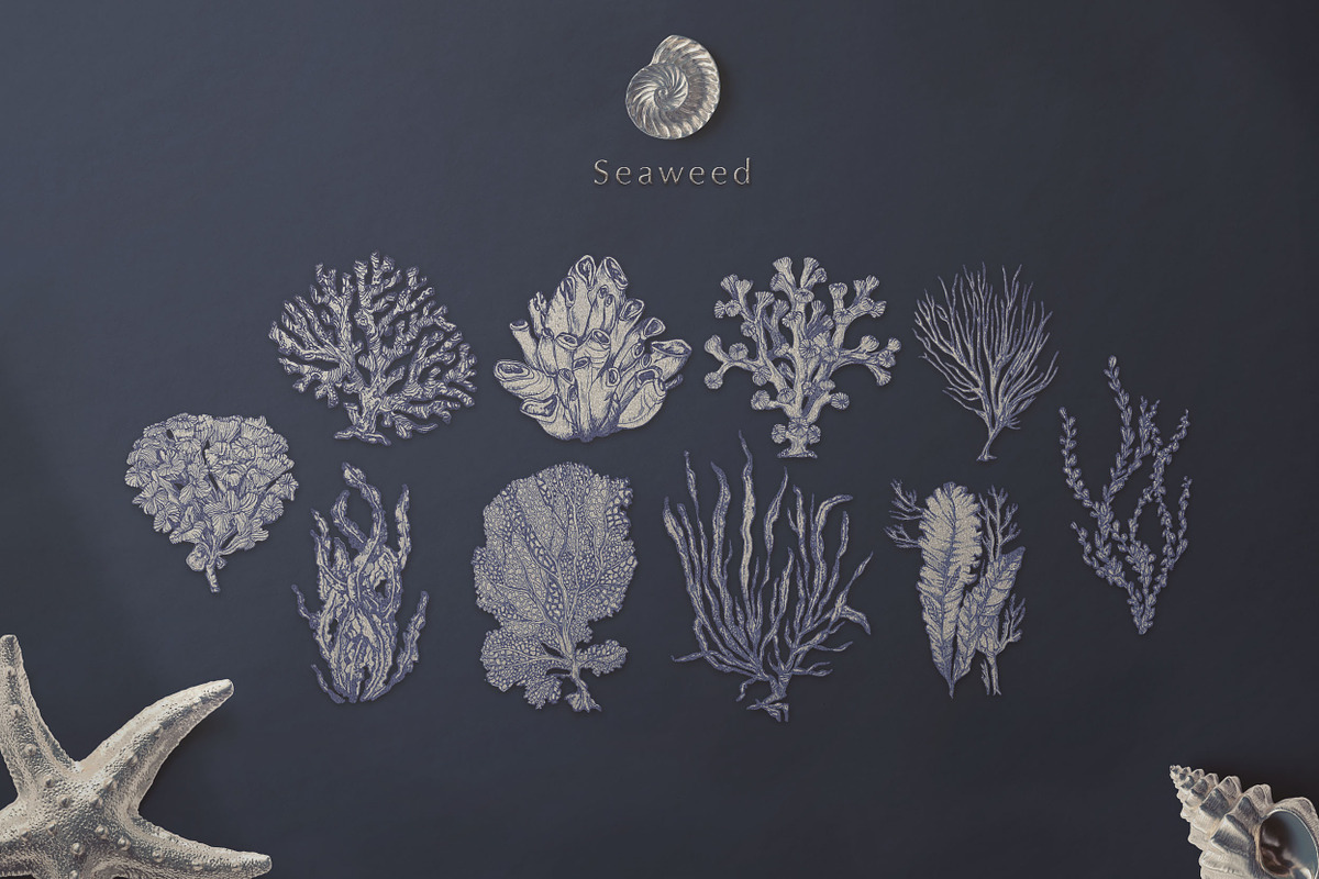 Silver Breeze Collection, a Decorative Illustration by Michael Rayback Design (Photo 4 of 10)
