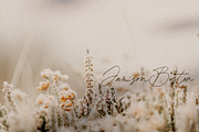 Bourdeilles France Script Font, a Script Font by Creativeqube Design (Thumbnail 6 of 16)