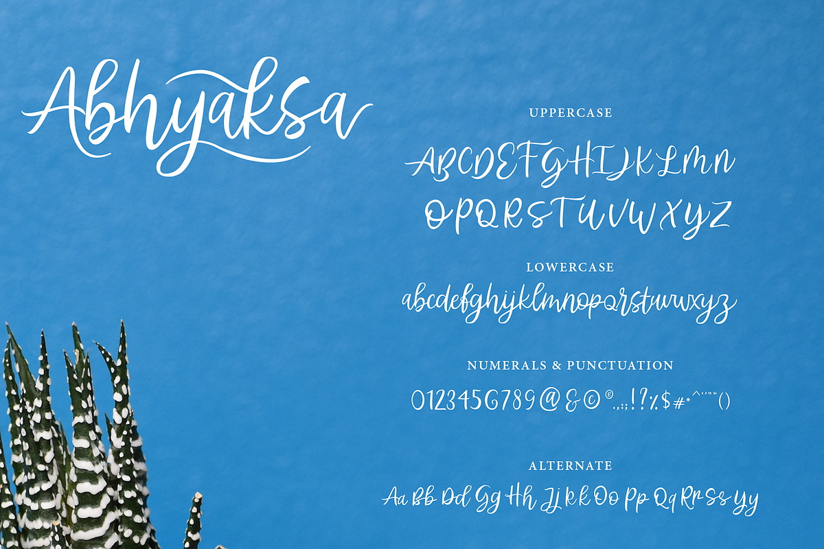 Abhyaksa Handwritten Font, a Script Font by Inspiratype (Photo 10 of 11)