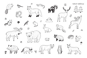 Forest Animals