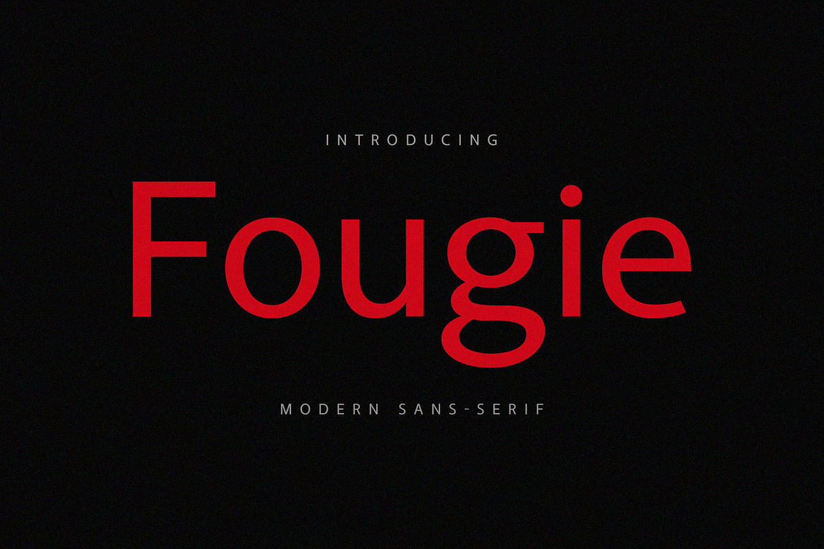 Fougie Modern Sans-Serif, a Sans Serif Font by Font Kingdom (Photo 1 of 5)