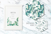 Tropical botany collection, an Object Illustration by Eisfrei (Thumbnail 6 of 6)