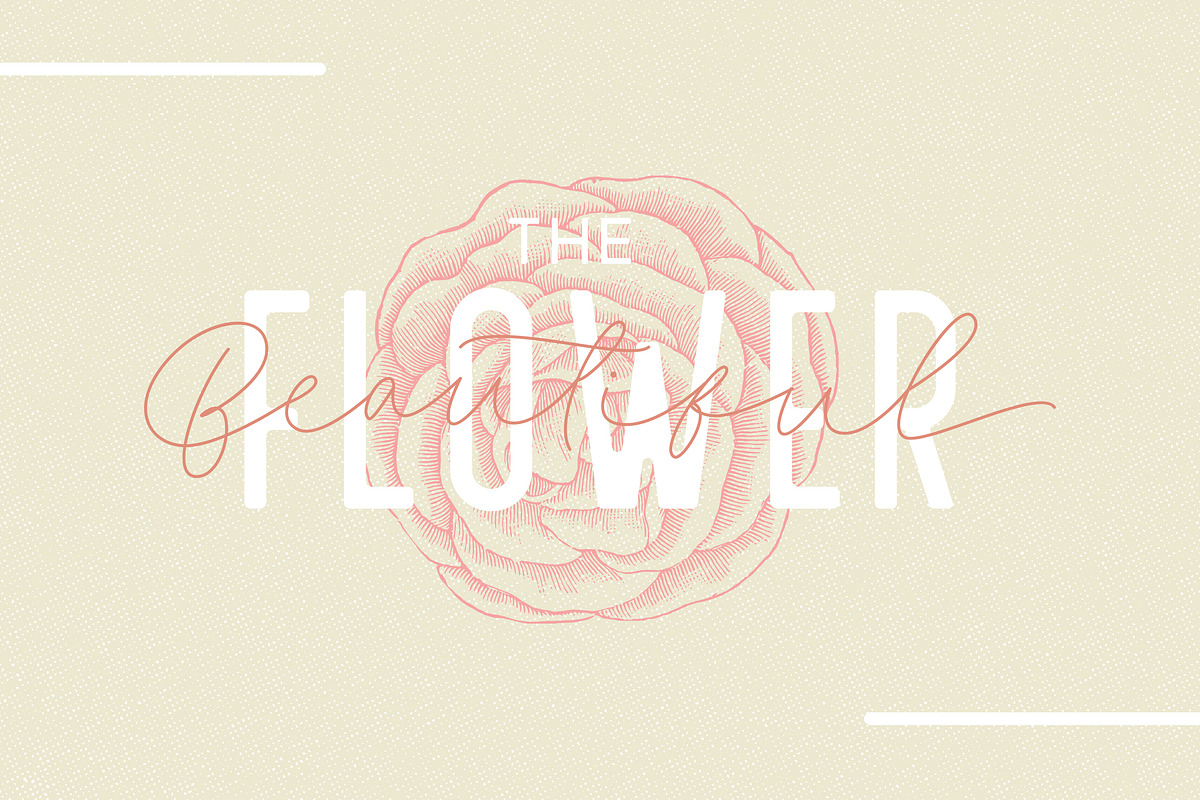 Filia - Script, Sans, & Bold Font preview 2