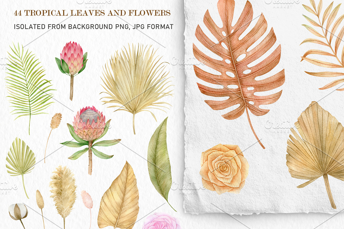 Tropical dried leaves set, an Illustration by svetodesign (Photo 2 of 16)