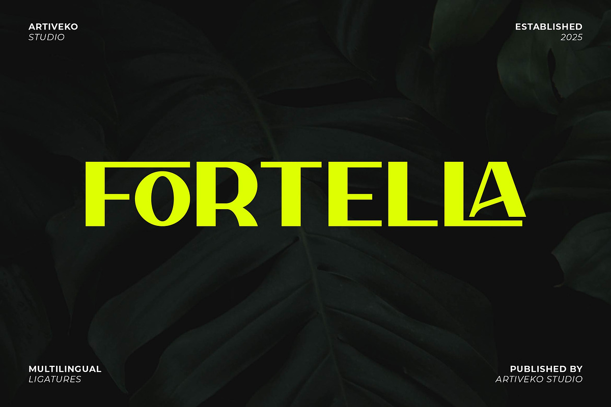 Fortella Creative Sans, a Sans Serif Font by Artiveko (Photo 1 of 8)