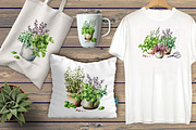 Kitchen Herbs. Watercolor collection, a Healthcare Illustration by Daria Ustiugova (Thumbnail 9 of 9)