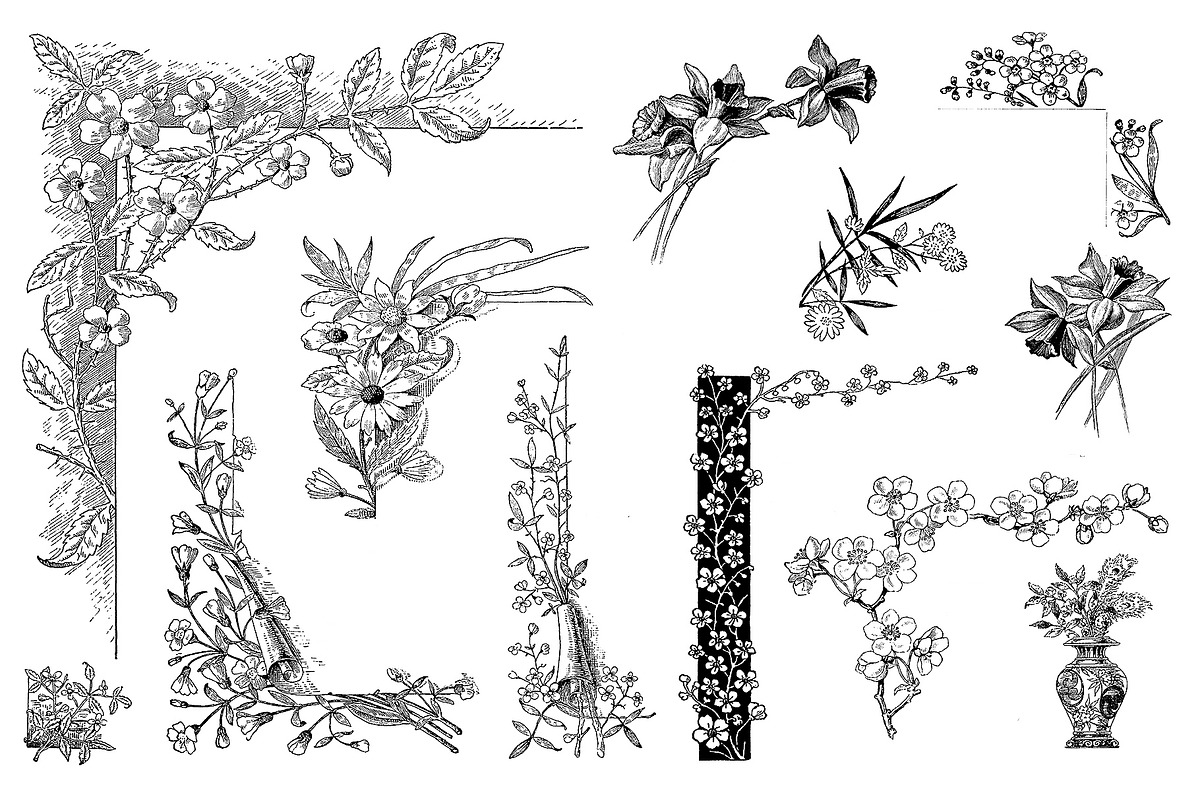 Procreate Botanical Collection, a Brush Add-On by AW Studios (Photo 6 of 6)