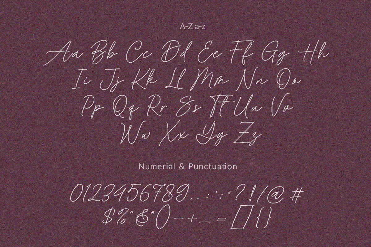 Baked Salmon - Monoline Script Font, a Script Font by Subectype Studio (Photo 9 of 9)
