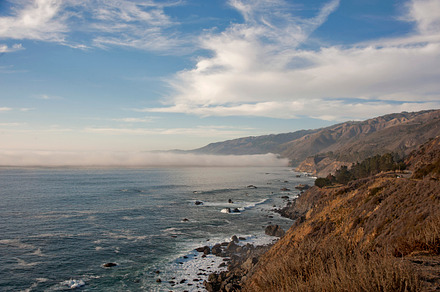 Barnacles featuring barnacles, ocean, and sea preview 6