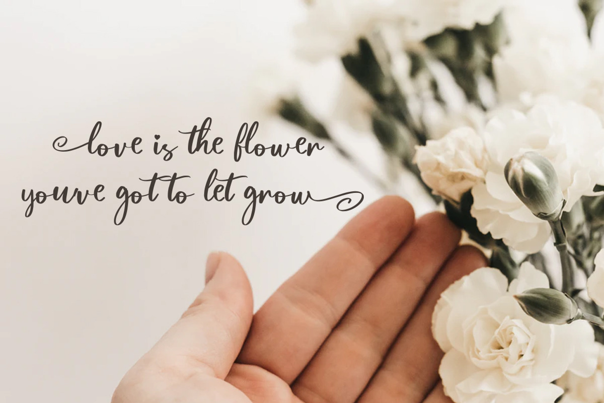 Magnolia Font preview 4