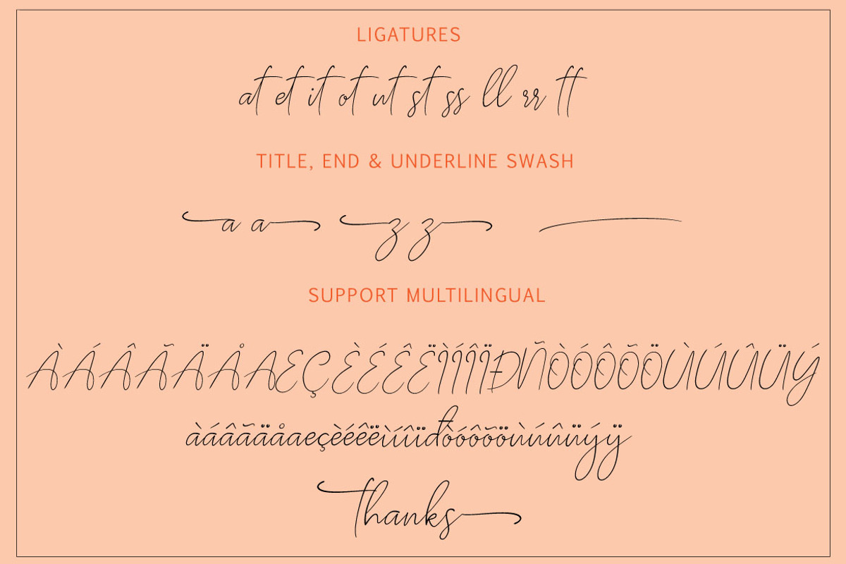 SOUTH BOSTON, a Script Font by AMINMARIO (Photo 10 of 11)