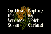 Agvone - Display Font, a Serif Font by Uncarving (Thumbnail 4 of 13)