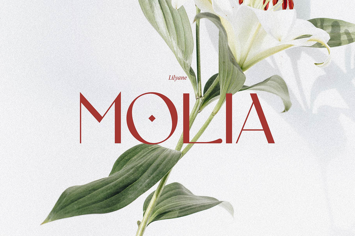 Lilyane - A Lovely Font, a Serif Font by StudioinBry (Photo 4 of 12)