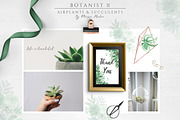 Botanist II - Airplants & Succulents, a Texture Illustration by Momo Studio (Thumbnail 8 of 15)
