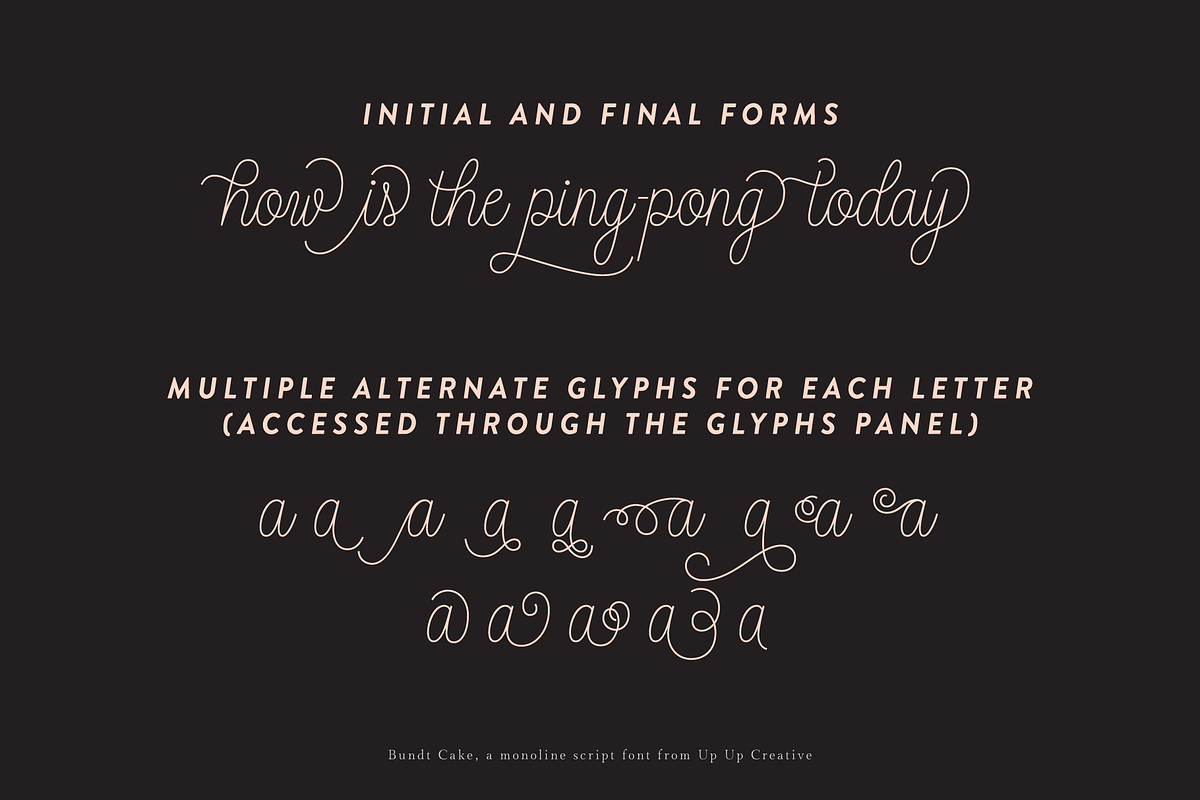 Bundt Cake Script Font, a Script Font by Up Up Creative (Photo 6 of 15)