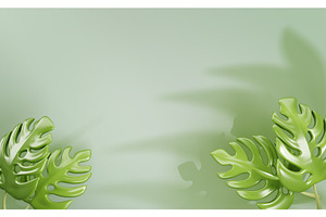 3d Background With Monstera Leaves