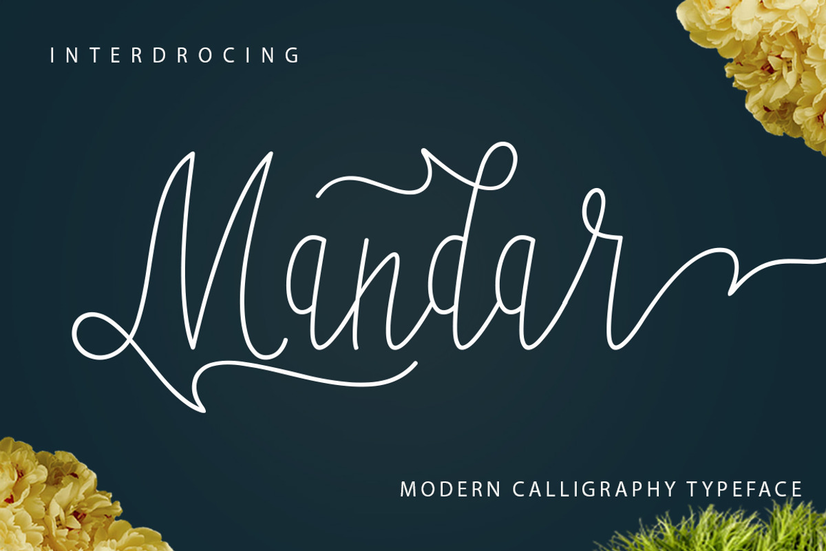 Mandar, a Script Font by Jhoen (Photo 1 of 8)