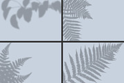 50 plants shadows, a Mockup by AnastasiyaOleynik (Thumbnail 7 of 14)