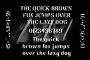Dinamika - Modern Display Font, a Serif Font by Say Studio (Thumbnail 9 of 10)