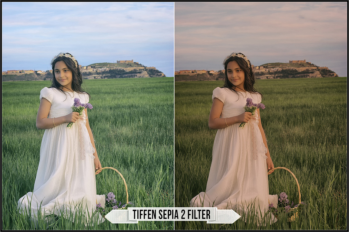 Authentic Sepia LUTs - Version 2, a Plug-in Add-On by Raztrend (Photo 20 of 30)