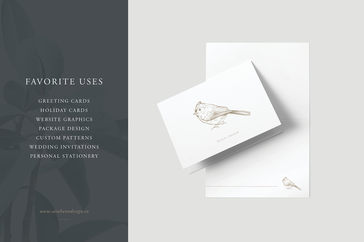 Bird Illustrations: Vector Pack, an Illustration by Sarah Ann Design (Photo 4 of 6)