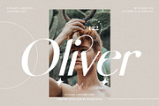 skylar - ligature sans font family, a Sans Serif Font by SilverStag Type Foundry (Thumbnail 9 of 20)