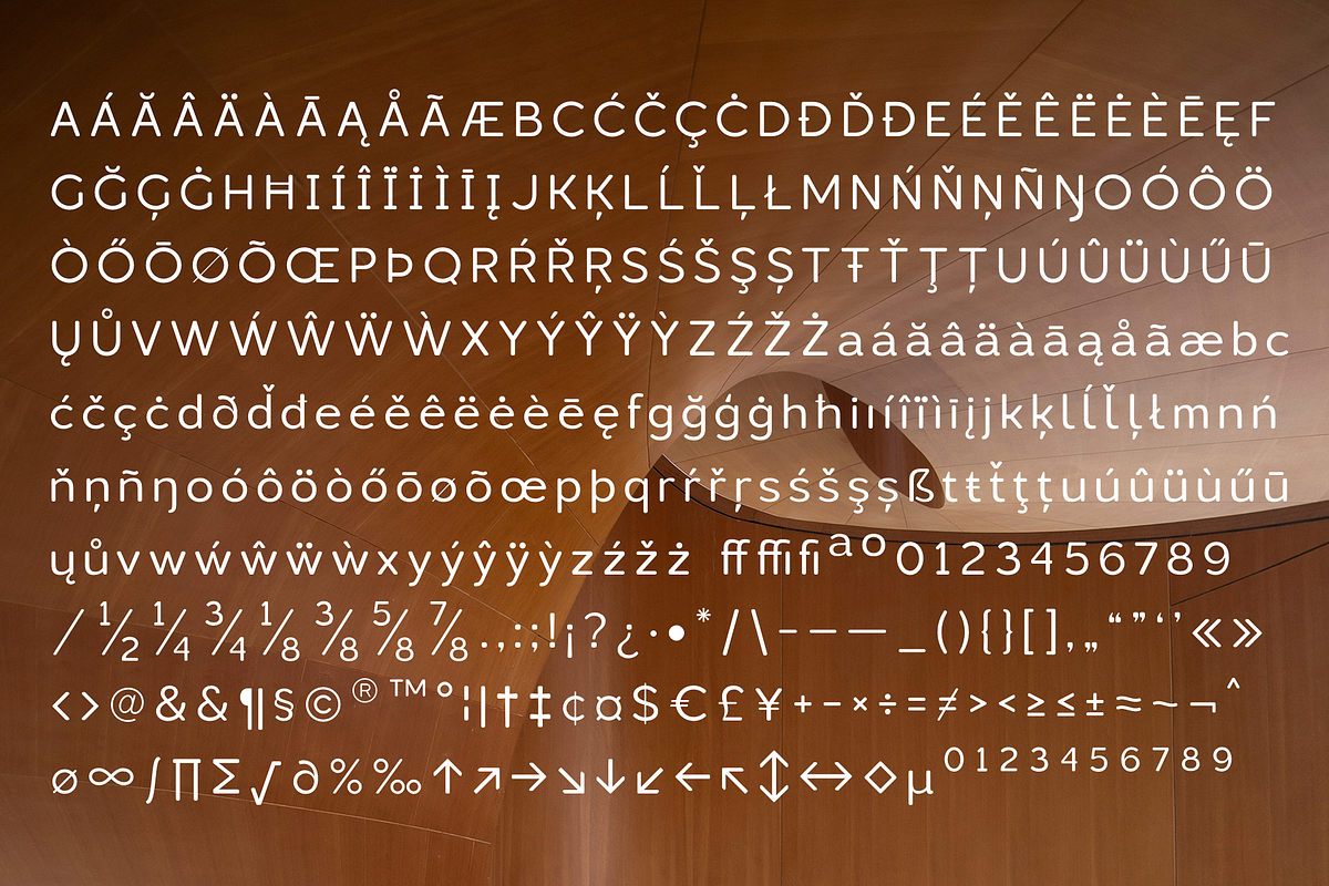 Lusio Soft, a Sans Serif Font by Larin Type Co. (Photo 14 of 15)