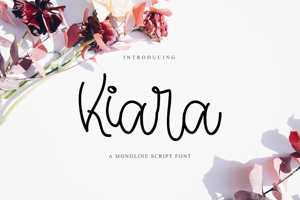 Kiara, a Script Font by edcreative (Photo 1 of 6)