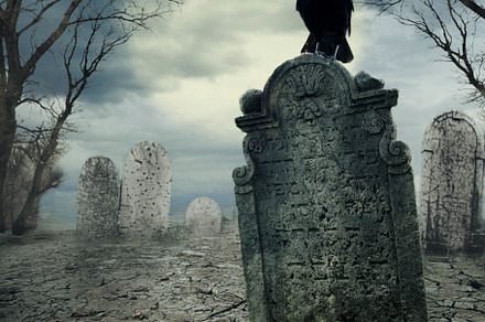 Crow on the tombstone, an Abstract Photo by hitdelight
