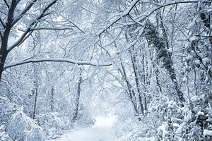 Snowy shape stock photo containing shape and snow