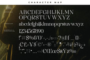 Maiken Modern Stylish Font, a Serif Font by Letterena Studios (Thumbnail 13 of 15)