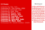 Codename FX, a Slab Serif Font by Differentialtype (Thumbnail 4 of 10)