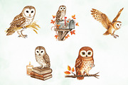 Autumn Owl Clipart Sublimation, an Illustration by Creative Art (Thumbnail 5 of 9)