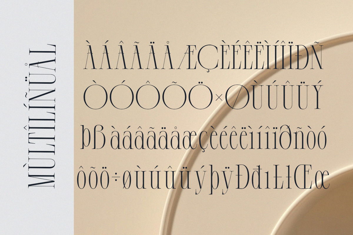 Demeris - Modern Refined Serif, a Serif Font by Qweera Studio (Photo 12 of 12)
