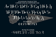 Typography, a Handwritten Font by FreshTypeINK (Thumbnail 1 of 8)