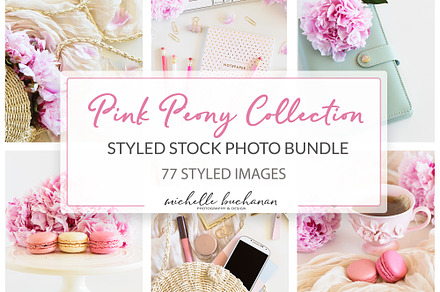 Pink peony stock photo bundle containing pink, peony, and fowers
