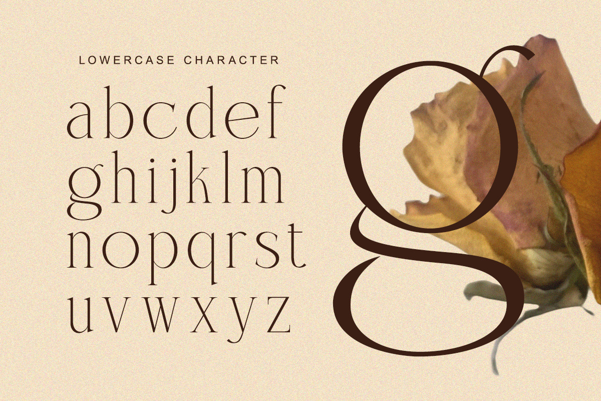 Charnoir - Modern Elegant Luxury, a Serif Font by Qweera Studio (Photo 10 of 12)