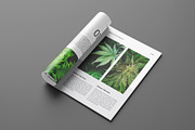 Botanic Portfolio Brochure Layout, a Magazine Template by Seeing-art (Thumbnail 3 of 11)